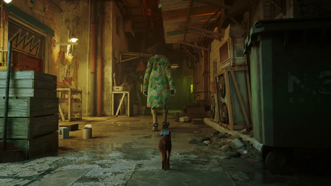 Stray