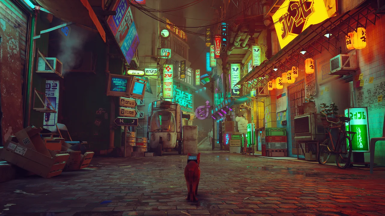 Stray